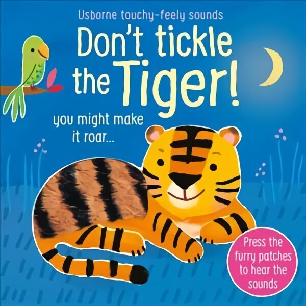 Don't Tickle the Tiger! hind ja info | Väikelaste raamatud | kaup24.ee