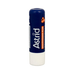 Multivitamiini huulepulk 4,7 g hind ja info | Huulepulgad, -läiked, -palsamid, vaseliin | kaup24.ee