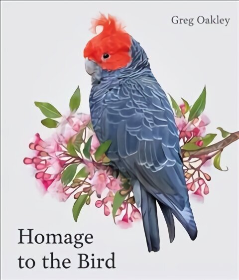 Homage to the Bird hind ja info | Fotograafia raamatud | kaup24.ee