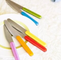 Набор ножей для стейков ViceVersa, 6 шт цена и информация | Ножи и аксессуары для них | kaup24.ee