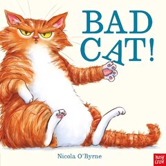 Bad Cat! цена и информация | Книги для малышей | kaup24.ee
