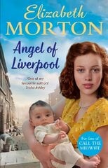 Angel of Liverpool цена и информация | Романы | kaup24.ee