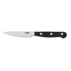 Набор ножей Quid, 10 шт. цена и информация | Ножи и аксессуары для них | kaup24.ee