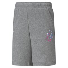 Poiste lühikesed püksid Puma Neymar JR Creativity Shorts Jr Me 60556106, hall цена и информация | Шорты для мальчиков | kaup24.ee