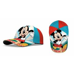 Laste müts Mickey hind ja info | Poiste mütsid, sallid, kindad | kaup24.ee