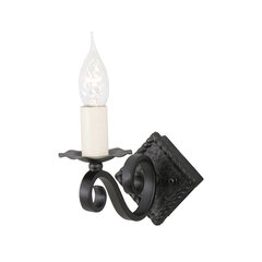 Настенный светильник Elstead Lighting Rectory RY1A-BLACK цена и информация | Настенные светильники | kaup24.ee