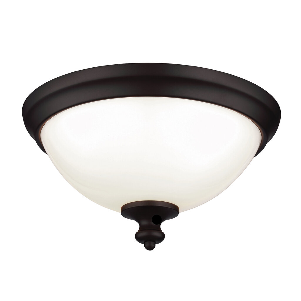 Laevalgusti Elstead Lighting Parkman FE-PARKMAN-F-OB hind ja info | Laelambid | kaup24.ee