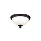 Laevalgusti Elstead Lighting Parkman FE-PARKMAN-F-OB hind ja info | Laelambid | kaup24.ee