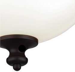 Потолочный светильник Elstead Lighting Parkman FE-PARKMAN-F-OB цена и информация | Потолочные светильники | kaup24.ee