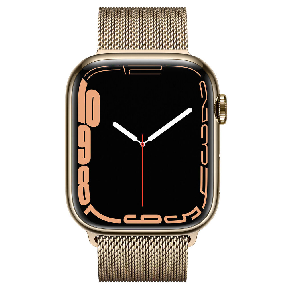 Apple Watch Series 7 45mm Stainless steel GPS+Cellular (Uuendatud, seisukord nagu uus) цена и информация | Nutikellad (smartwatch) | kaup24.ee