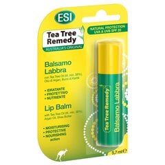 Lūpų balzamas ESI Tea Tree Remedy su tea tree, aloe vera, 5,7 g. hind ja info | Huulepulgad, -läiked, -palsamid, vaseliin | kaup24.ee