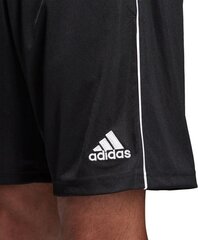 Adidas performance hind ja info | Jalgpalli varustus ja riided | kaup24.ee