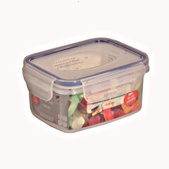 Емкость для хранения продуктов Axentia, 0,48 л цена и информация | Посуда для хранения еды | kaup24.ee
