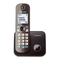 Panasonic KX-TG6811FXM, hall цена и информация | Стационарные телефоны | kaup24.ee