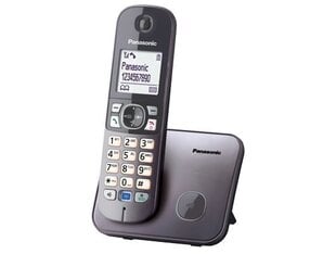 Panasonic KX-TG6811FXM, серый цена и информация | Стационарные телефоны | kaup24.ee