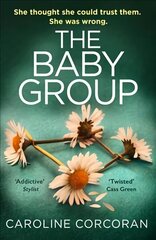 Baby Group цена и информация | Фантастика, фэнтези | kaup24.ee