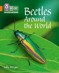 Beetles Around the World: Band 06/Orange цена и информация | Книги для подростков и молодежи | kaup24.ee