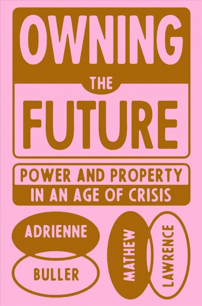 Owning the Future: Power and Property in an Age of Crisis цена и информация | Majandusalased raamatud | kaup24.ee