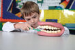 Hiiglaslike hammaste demonstratsioonimudel 150 x 185 x 140 mm hind ja info | Arendavad mänguasjad | kaup24.ee