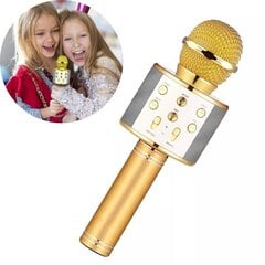 Беспроводной микрофон караоке BLUETOOTH цена и информация | Развивающие игрушки | kaup24.ee