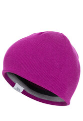 Детская шапка Reagan цена и информация | Шапки, перчатки, шарфы для мальчиков | kaup24.ee