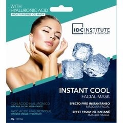 Niisutav Näomask IDC Institute Instant Cool (30 g) hind ja info | Näomaskid, silmamaskid | kaup24.ee