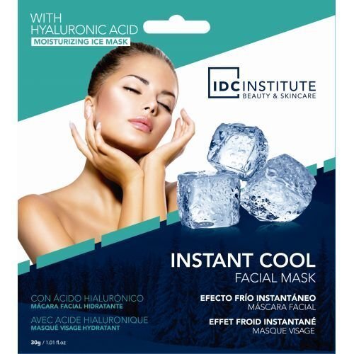 Niisutav Näomask IDC Institute Instant Cool (30 g) цена и информация | Näomaskid, silmamaskid | kaup24.ee