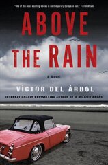 Above The Rain: A Novel hind ja info | Fantaasia, müstika | kaup24.ee