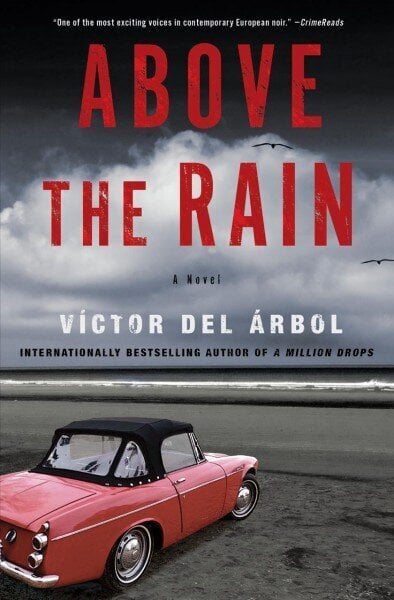 Above The Rain: A Novel цена и информация | Fantaasia, müstika | kaup24.ee