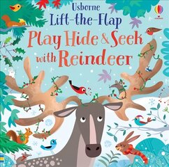 Play Hide & Seek With Reindeer hind ja info | Väikelaste raamatud | kaup24.ee