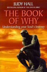 Book of Why: Understanding Your Soul's Journey hind ja info | Eneseabiraamatud | kaup24.ee