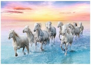 Пазл Trefl «Белые лошади», 500 д. цена и информация | Пазлы | kaup24.ee