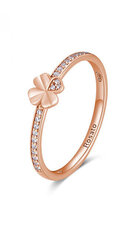 Красивое бронзовое кольцо на удачу Rosato Allegra RZA022 цена и информация | Кольцо | kaup24.ee