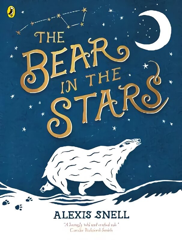 Bear in the Stars цена и информация | Väikelaste raamatud | kaup24.ee