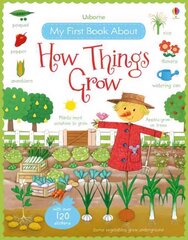 My First Book About How Things Grow цена и информация | Книги для малышей | kaup24.ee