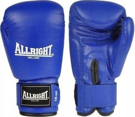 Боксерские перчатки Allright TRAINING PRO 12oz синий цвет цена и информация | Allright Сетевой | kaup24.ee