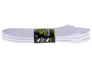 Meeste sokid Skechers 3pk No Show Stretch Socks S101715, valge hind ja info | Meeste sokid | kaup24.ee