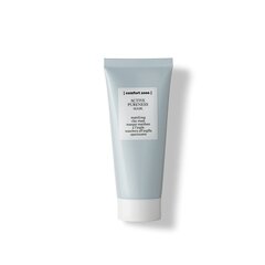 Puhastav näomask Comfort Zone Active Pureness 60 ml hind ja info | Näomaskid, silmamaskid | kaup24.ee