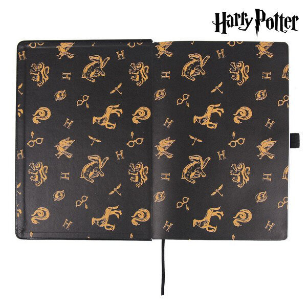 Harry Potter hind ja info | Fännitooted mänguritele | kaup24.ee