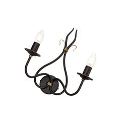 Seinavalgusti Elstead Lighting Windemere WM2 hind ja info | Seinavalgustid | kaup24.ee