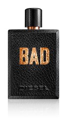 Diesel Bad EDT 125ml hind ja info | Meeste parfüümid | kaup24.ee