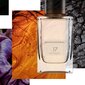 Parfüüm Banana Republic 17 Oud Mosaic EDP naistele/meestele 75 ml hind ja info | Naiste parfüümid | kaup24.ee