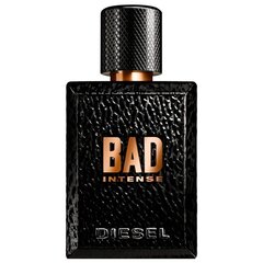 Parfüümvesi Diesel Bad Intense EDP meestele 125 ml hind ja info | Diesel Kosmeetika, parfüümid | kaup24.ee