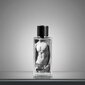 Abercrombie & Fitch Fierce EDC 200ml hind ja info | Meeste parfüümid | kaup24.ee