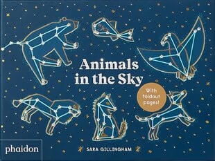 Animals in the Sky цена и информация | Книги для подростков и молодежи | kaup24.ee