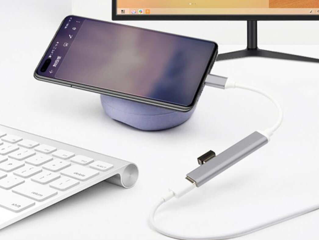 Adapter USB-C nelja USB 3.0 pistikuga, hall ja valge цена и информация | USB jagajad, adapterid | kaup24.ee