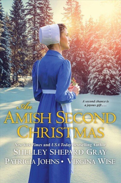 Amish Second Christmas, An hind ja info | Romaanid  | kaup24.ee