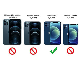 Защитное стекло Rock'it Premium 5D/9H для Apple iPhone 14 Pro Max цена и информация | Защитные пленки для телефонов | kaup24.ee