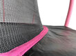 Batuut Lean Sport 244 cm, must roosa hind ja info | Batuudid ja batuudi varuosad | kaup24.ee