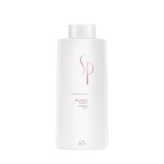 Wella SP - Balance Scalp Shampoo цена и информация | Шампуни | kaup24.ee